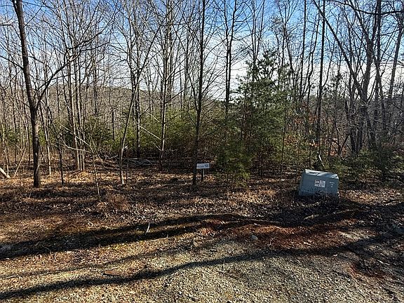 4th image of 0 Talon Ridge Ct