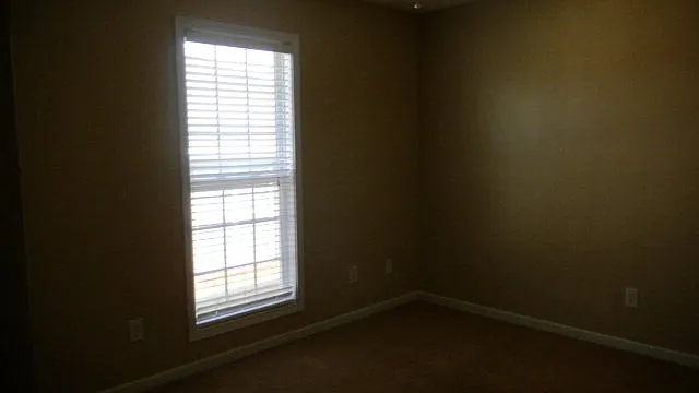 8028 Garrett Pines Dr — Photo 15