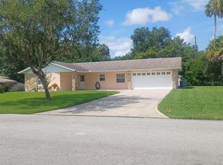 2810 Mango Tree Dr, Edgewater, FL 32141