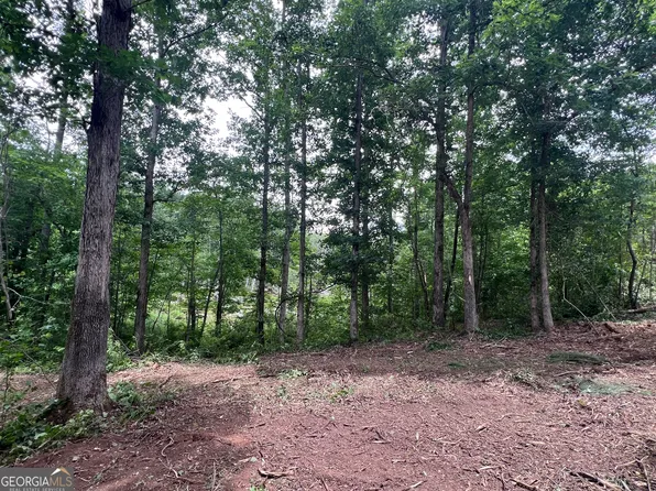 0 Bethlehem Church Rd, Grantville, GA 30220