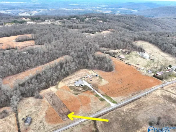 At 130 Pace Dr, Woodville, AL 35776