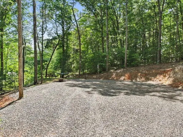 103 Hibiscus Ln, Blue Ridge, GA 30513