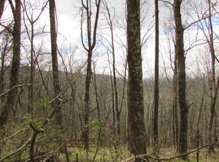 56 Richards Dr, Ellijay, GA 30536