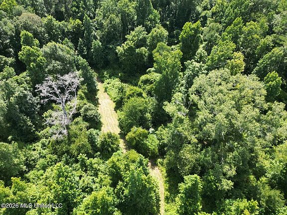 5th image of Pam Rd