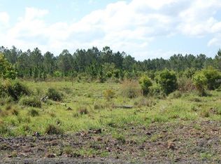 280 Volusian Forest Trl, Pierson, FL 32180