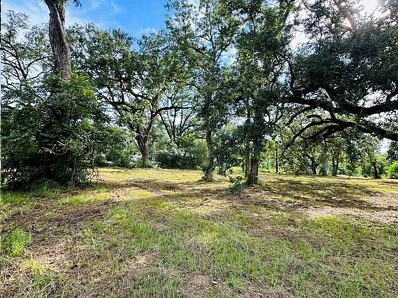 5th image of 202 Jones Rd