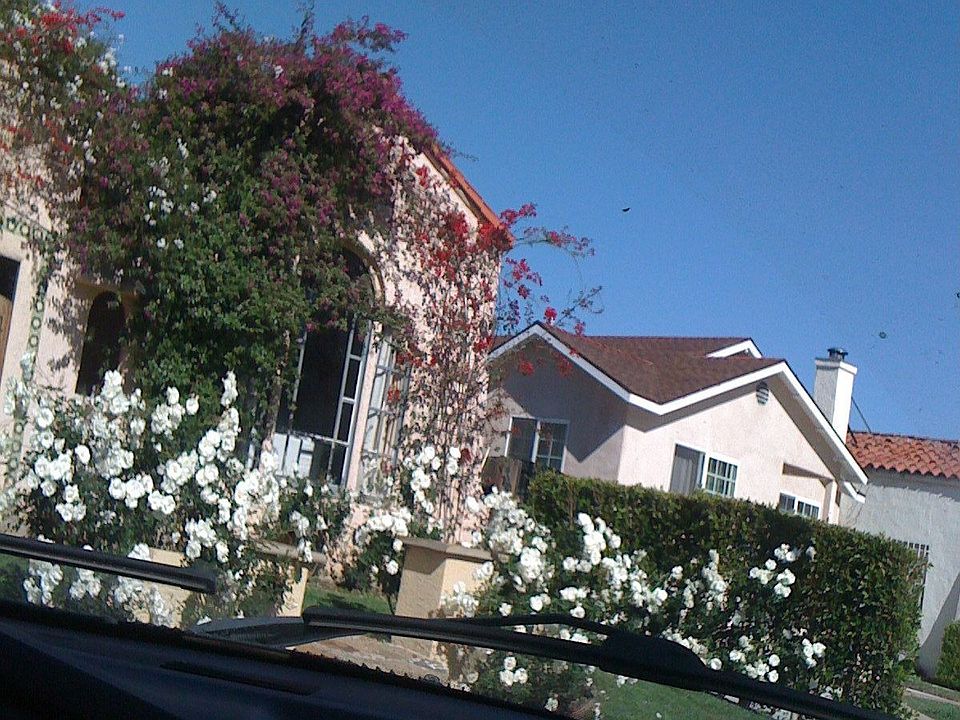 1st image of 1471 Livonia Ave