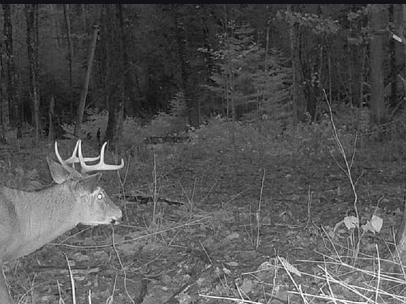 4th image of Maple Grove Rd