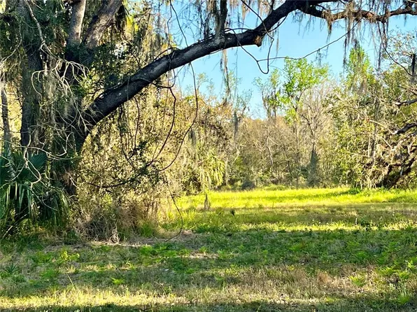 Dansby Rd #0, Wauchula, FL 33873