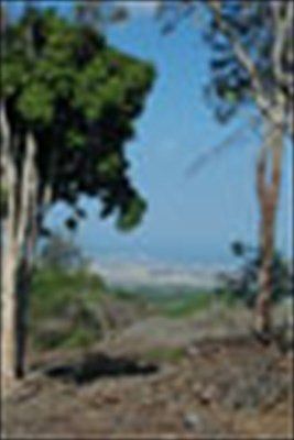2nd image of LOT Three