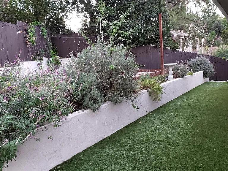 Backyard angle