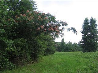 1st image of 757 Lee Road 47