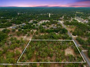 12055 Finch Rd, Weeki Wachee, FL 34614