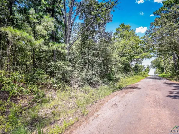 5 Gardenia Rd, Gilmer, TX 75645