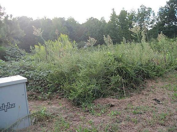 3rd image of 4608 Deer Creek Ct