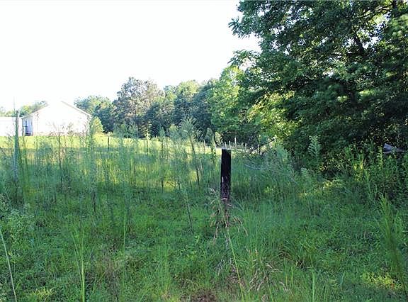 5th image of 2816 Babe Sears Ln