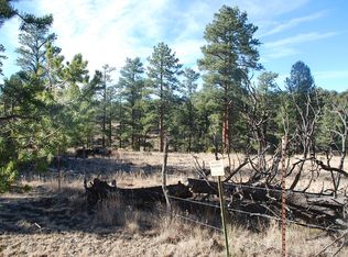 166 El Caso Rd LOT G-11, Quemado, NM 87829