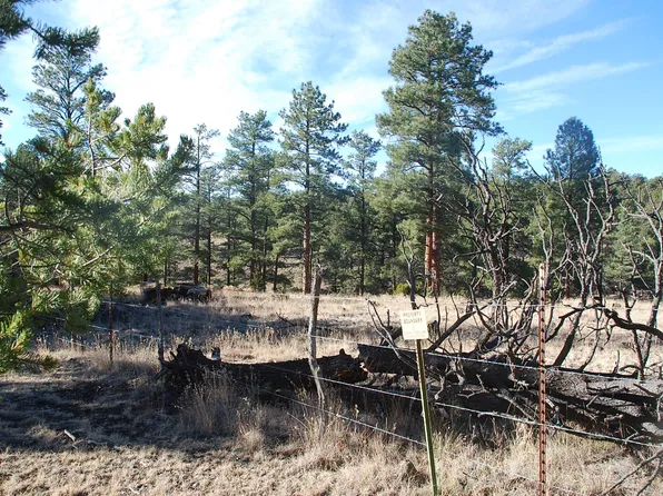 166 El Caso Rd Lot G-11, Quemado, NM 87829