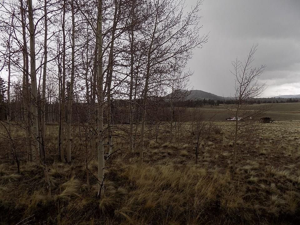 1st image of 63 Ball Path