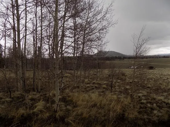 63 Ball Path, Como, CO 80456