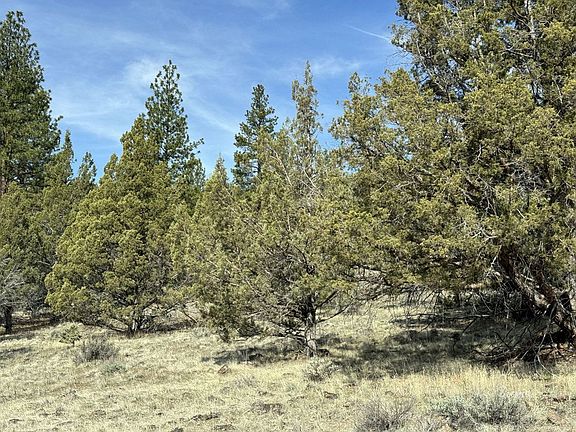 2nd image of Highway 140