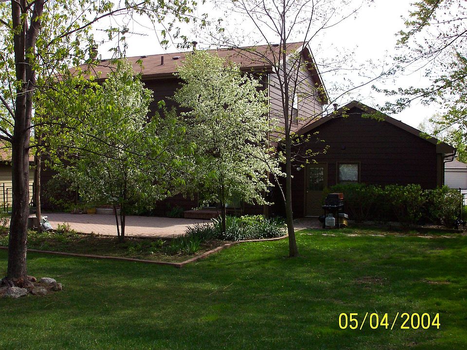 Back View