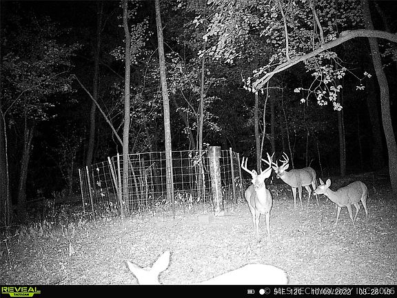 4th image of 101555 S 4590th Rd