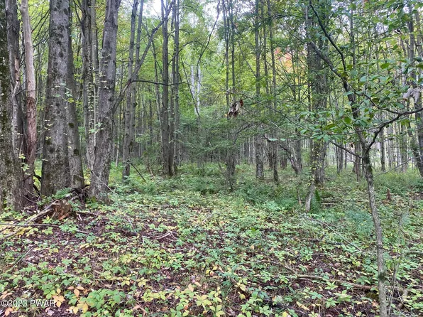 Belmont Tpke, Waymart, PA 18472