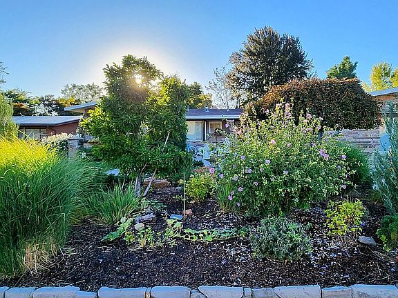 Early spring 4304 Vallejo Dr