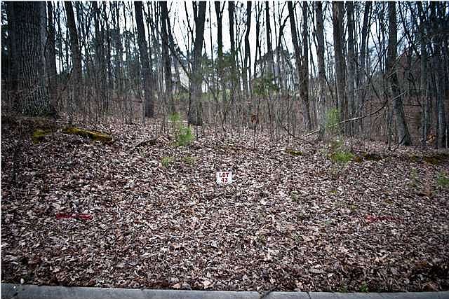 1st image of 0 Alese Dr #43