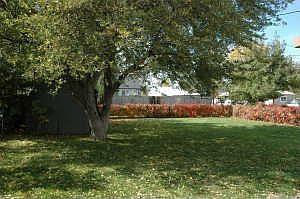 spacious, fenced yard