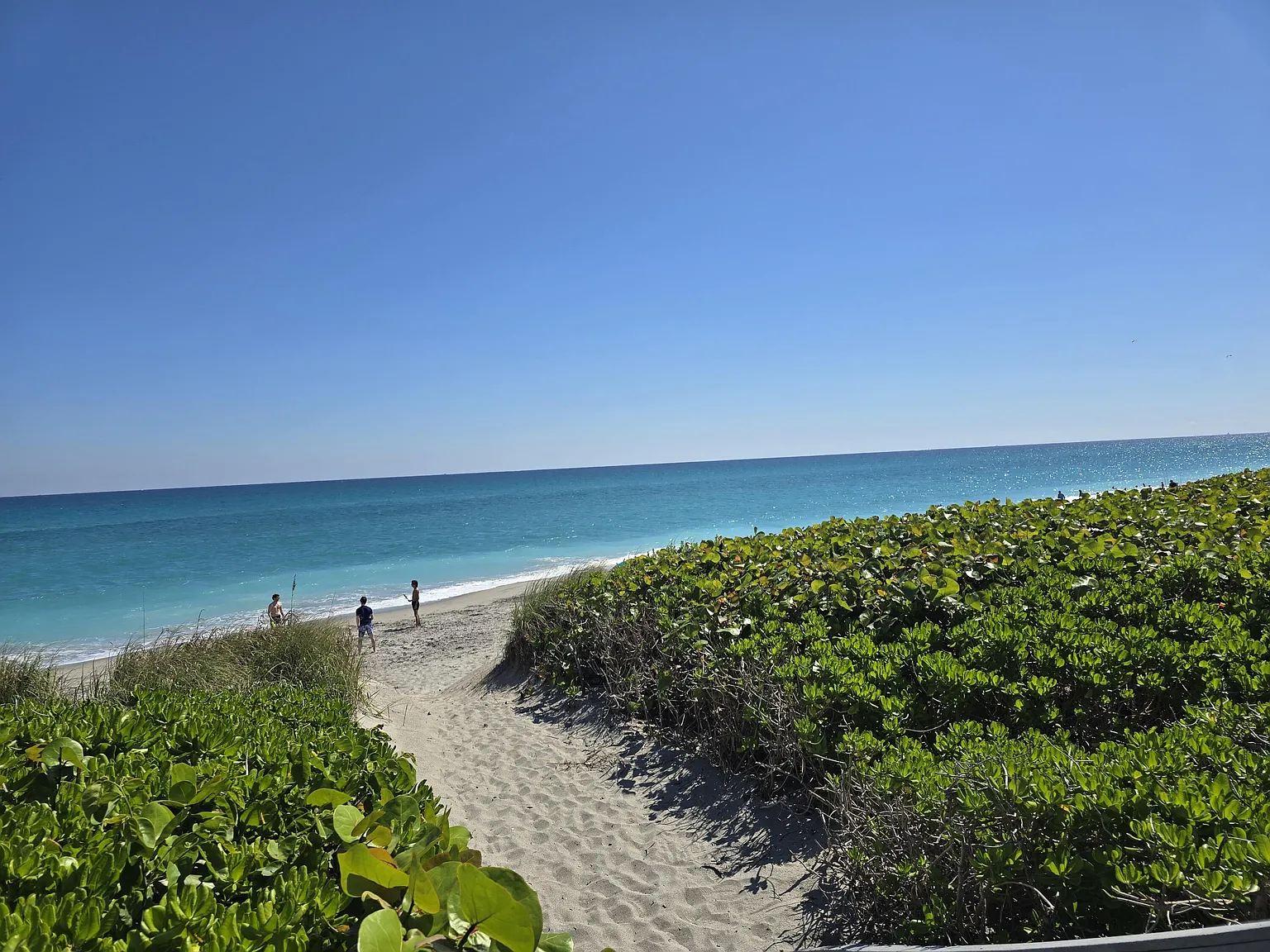1 bed, 1.5 bath, 833 sqft, $7,500 — Photo 2