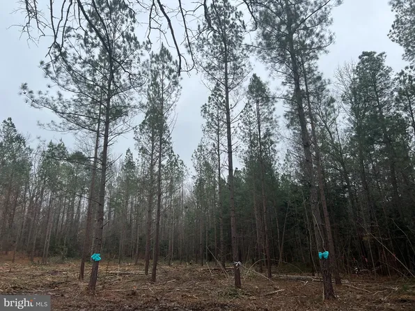 Burkes Bridge Rd, Milford, VA 22514