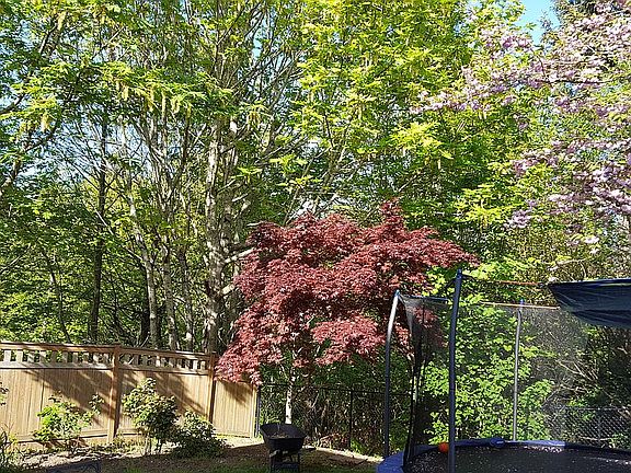 3rd image of 3428 Laurelwood Cir NE