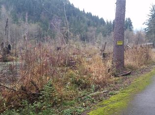 Double Rainbow Lake Rd E, Carbonado, WA 98323