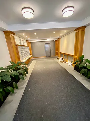 Rented by Douglas Elliman | media 18