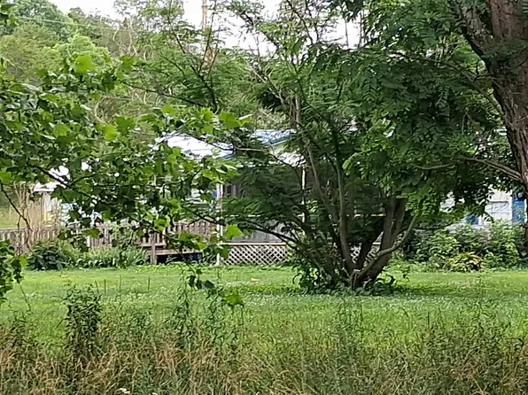 44 Elliott Ln, Tollesboro, KY 41189