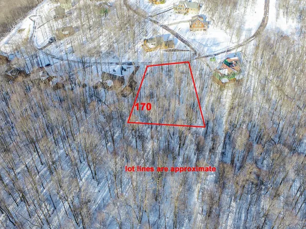 170 Fork Run Trl, Mc Henry, MD 21541