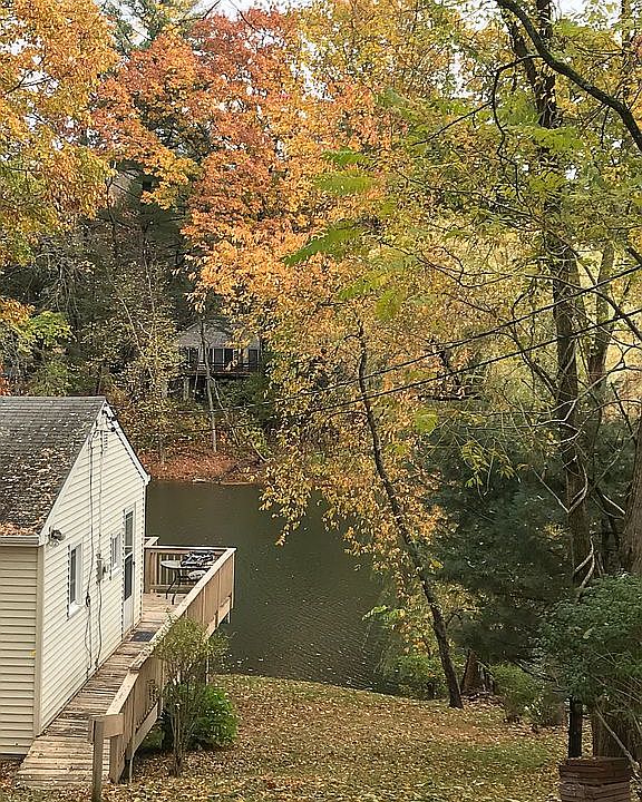 Fall foliage - Driveway view