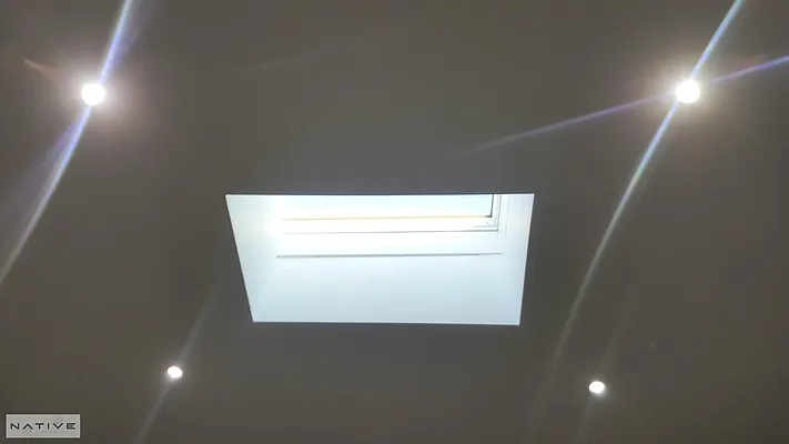 Rented by Native Real Estate LLC | media 15