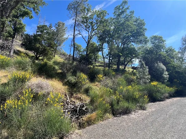 (undisclosed Address), Cobb, CA 95426