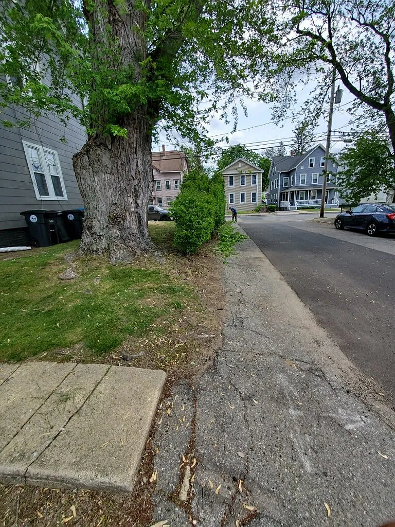 2 bed, 1200 sqft, $1,800 — Photo 3