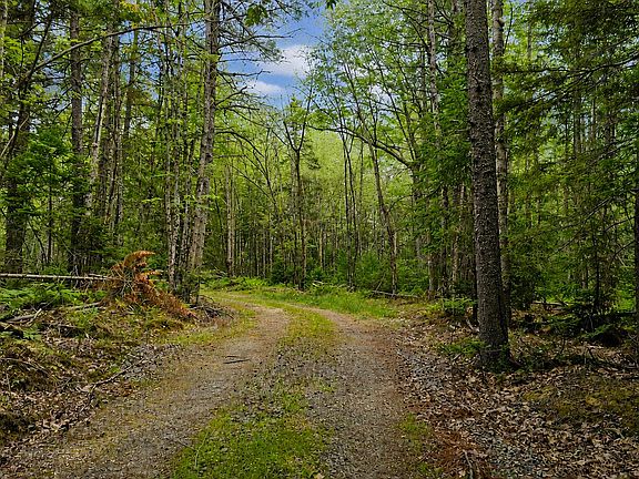 2nd image of Lot 42 Colby Road