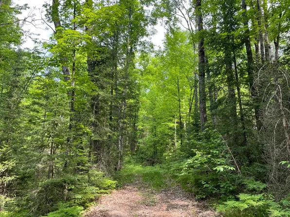 Griffith Rd, Butternut, WI 54514