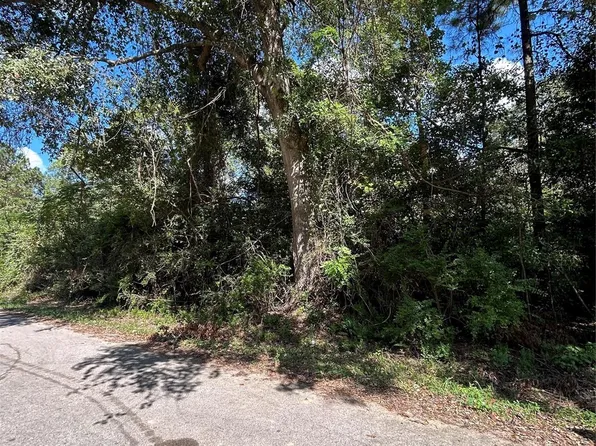 0 Myrtie Dr, Shepherd, TX 77371