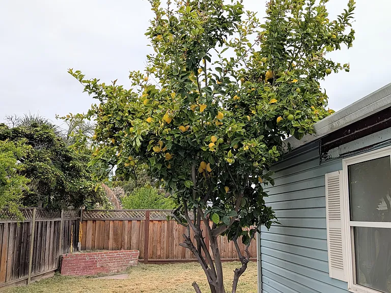 415 E Arbor Ave — Photo 21