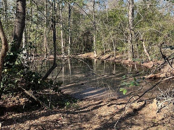 4th image of 5770 County Road 334