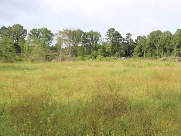 1442 Schaal Rd, Mineral Springs, AR 71851