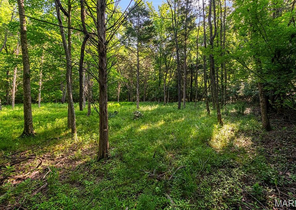 1st image of 3701 Bear Tooth Ln