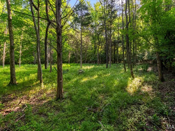 3701 Bear Tooth Ln, Pacific, MO 63069